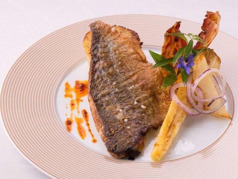 Logis Hotel Restaurant Solenca Nogaro Eksteriør billede